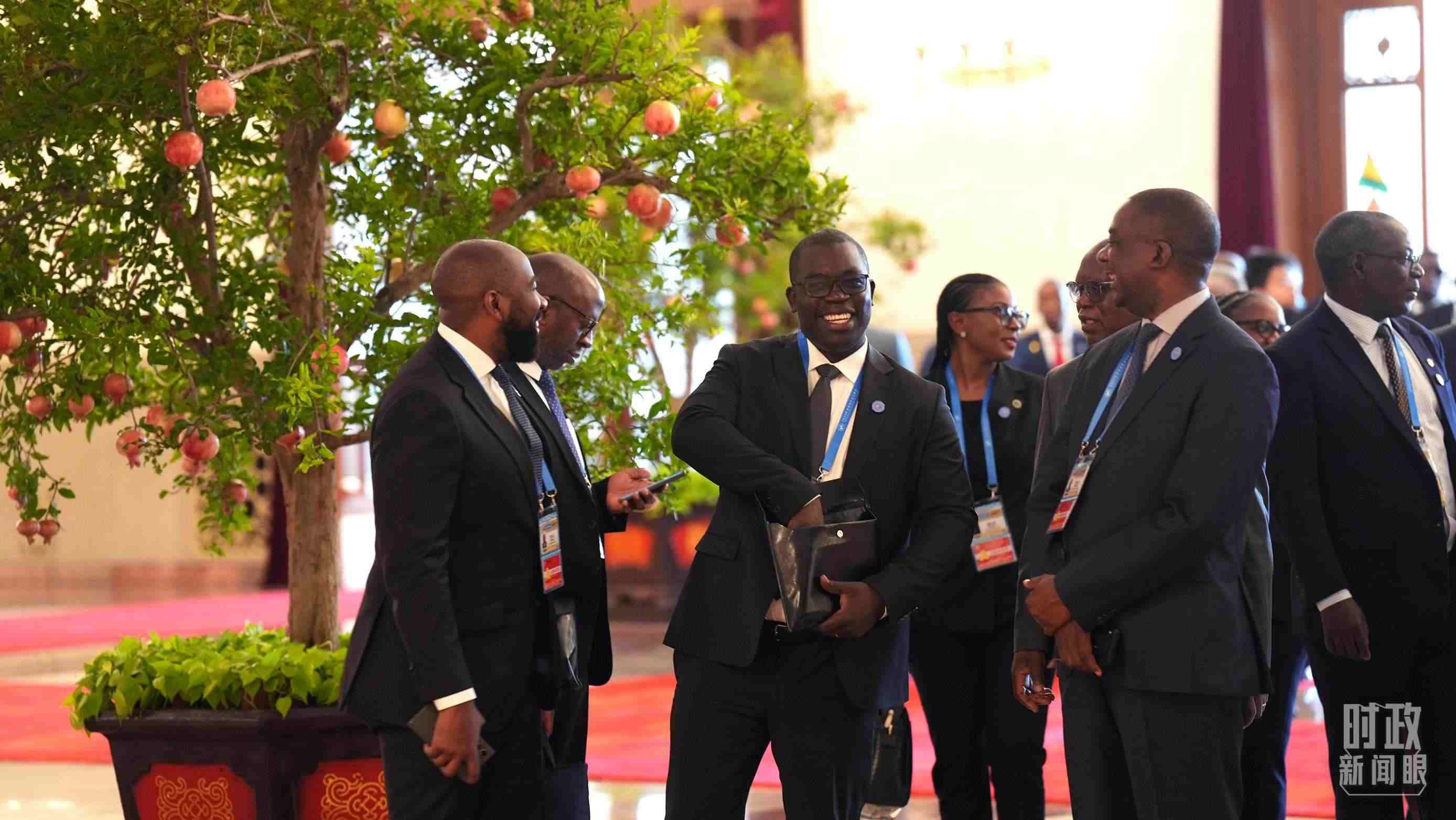 出席中非合作論壇北京峰會(huì)的非洲國(guó)家代表。（總臺(tái)記者李晉拍攝）