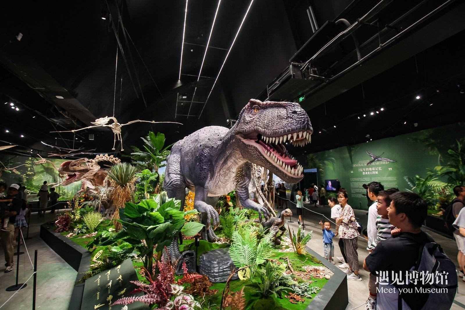2. 游客參觀“2億年的地球記憶——恐龍化石特展”。遇見博物館供圖