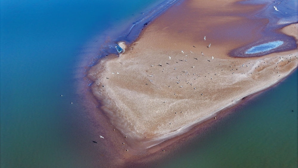 2024年3月1日拍攝的黃河寧夏段（無人機(jī)照片）。