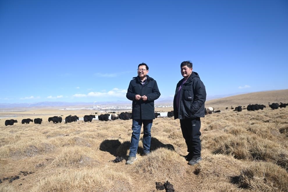 2023年2月24日，在青海省海北藏族自治州海晏縣青海湖鄉(xiāng)達(dá)玉日秀村，全國(guó)人大代表董全民（左）查看牧民東知布家的草場(chǎng)。新華社記者 張龍 攝