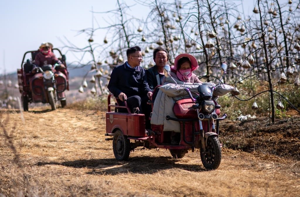 全國(guó)人大代表袁海波（右三）在云南省曲靖市馬龍區(qū)一種植基地了解務(wù)工人員就業(yè)需求（2023年2月11日攝）。新華社記者 江文耀 攝