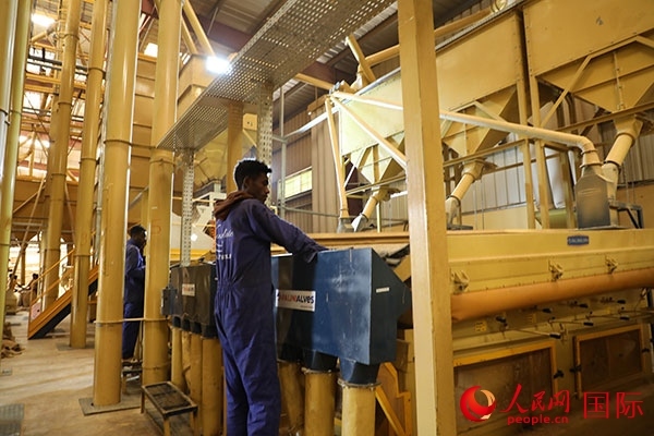 在Bule Hora咖啡加工廠里工作的當地工人們。人民網記者 沈小曉攝