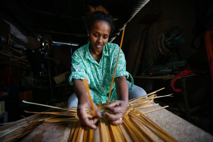 2024年8月10日，菲基爾特·加布雷在埃塞俄比亞首都亞的斯亞貝巴名為“綠色金子”的竹藤工作室里加工竹制產(chǎn)品。新華社發(fā)（邁克爾·特韋爾德 攝）