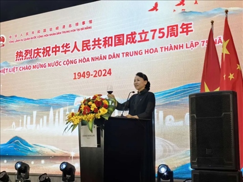 中國駐峴港總領事董碧幽在招待會上致辭。中國駐峴港總領館供圖