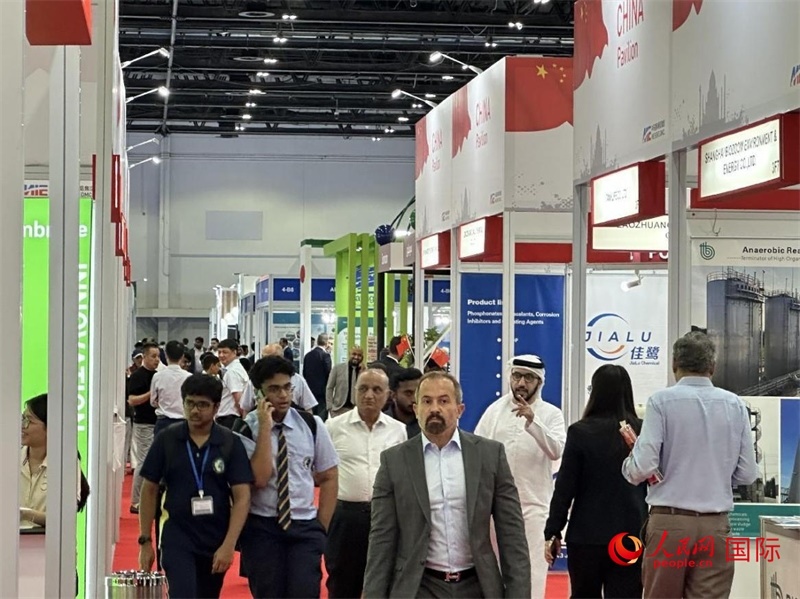 中國(guó)館一角。人民網(wǎng)記者管克江攝