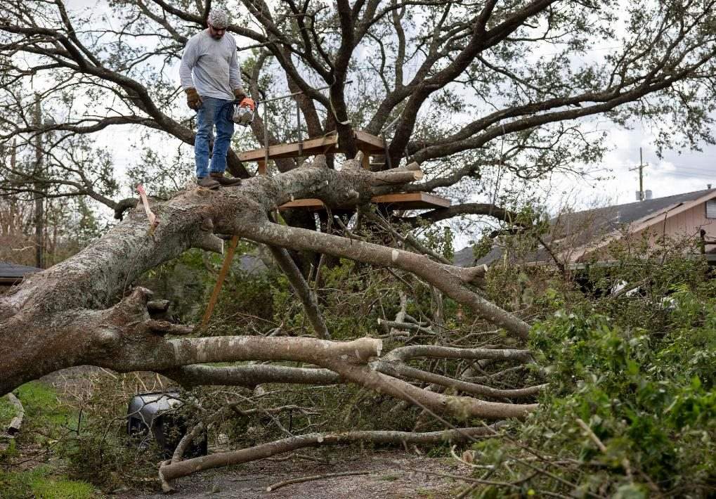 2021年8月30日，在美國路易斯安那州霍馬，一名男子站在被颶風(fēng)吹倒的大樹上。新華社發(fā)（尼克·瓦格納 攝）