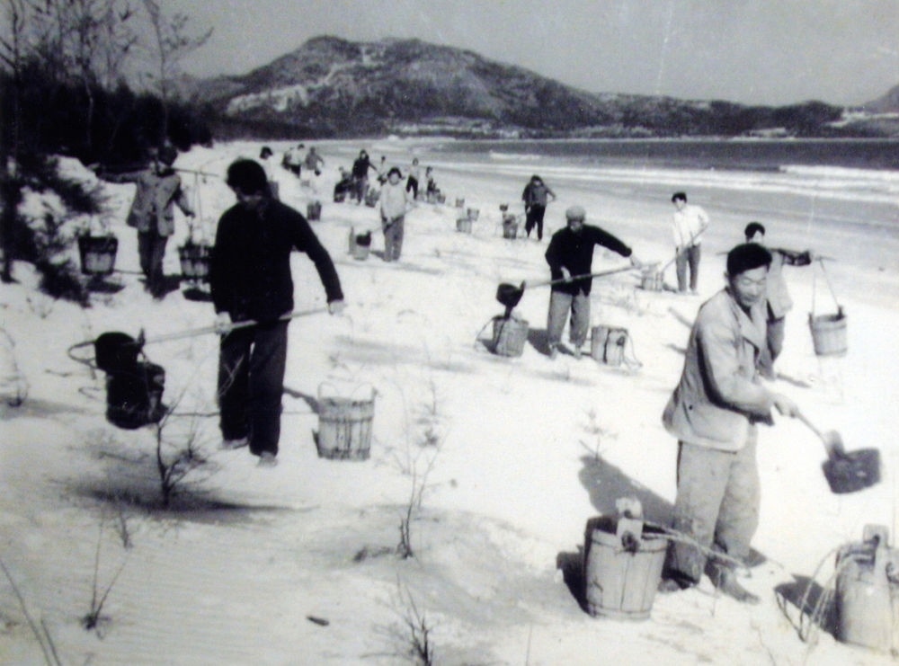 上世紀(jì)東山百姓在沙灘造林（資料照片）。