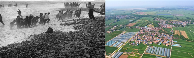 拼版照片：左圖為蘭考群眾在拉淤土壓沙（新華社記者 鄧歷耕 攝）；右圖為2024年4月25日拍攝的蘭考縣張莊村（無人機照片，新華社記者 郝源 攝）。