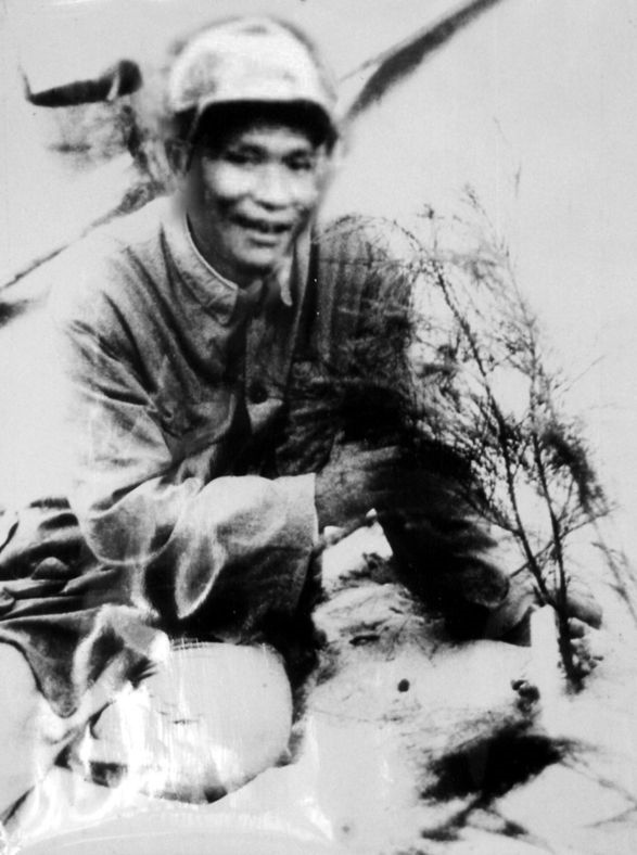 谷文昌與試種成活的木麻黃（資料照片）。為了治沙，谷文昌爬遍了東山縣400多個山頭，踏遍了30多公里的沙灘，終于帶領(lǐng)東山人民試種木麻黃成功。