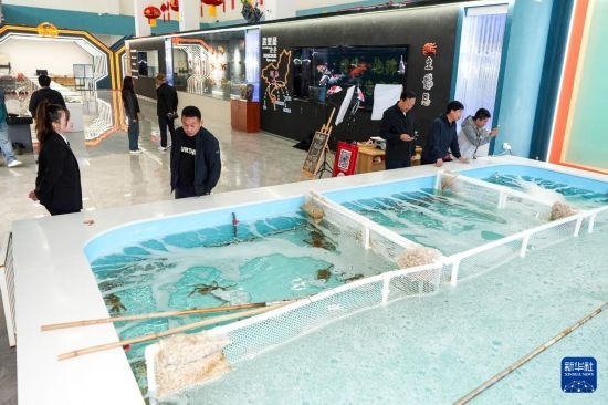 9月20日，游客在吉林省琿春市的帝王蟹保稅店內(nèi)選購帝王蟹。新華社記者 許暢 攝