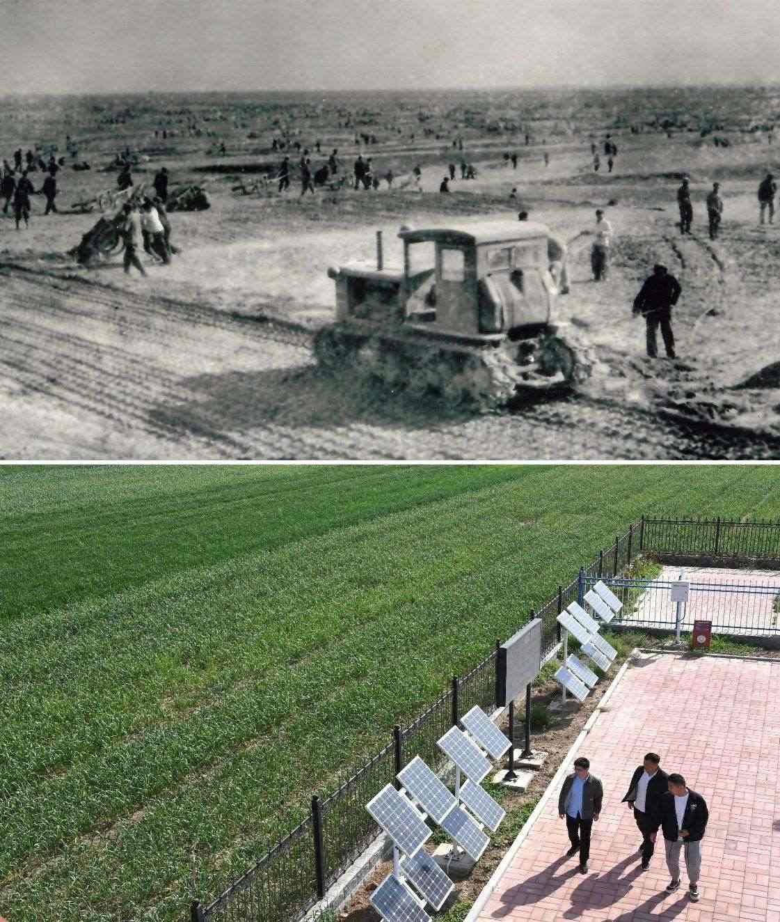 上圖為二十世紀(jì)六十年代蘭考改造鹽堿地的情景（資料照片）；下圖為2024年4月18日拍攝的蘭考縣紅廟鎮(zhèn)高標(biāo)準(zhǔn)農(nóng)田示范區(qū)。（新華社記者 朱祥 攝）