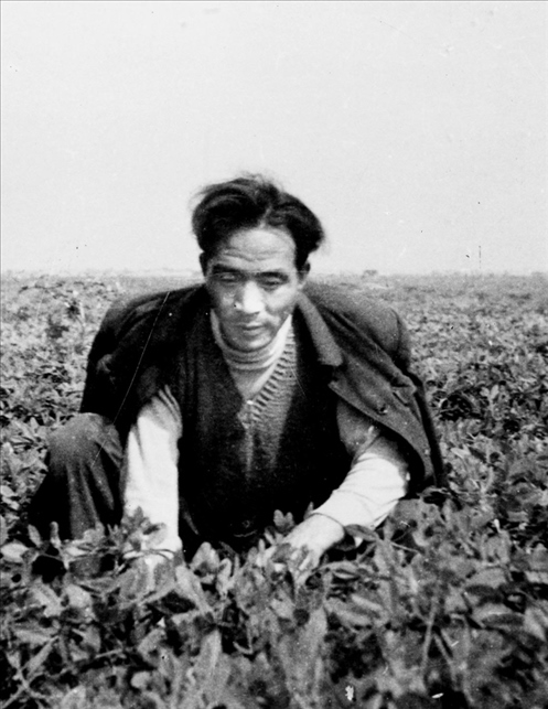 在蘭考期間，焦裕祿在田間勞動(dòng)的情景。