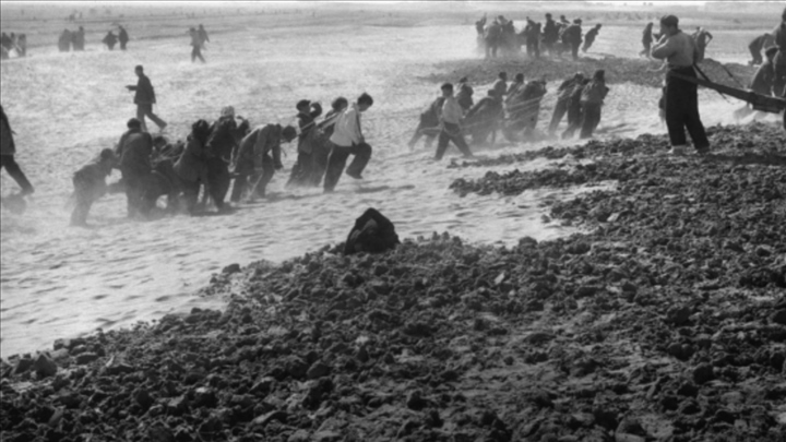 蘭考群眾在拉淤土壓沙。（新華社記者 鄧歷耕 攝）