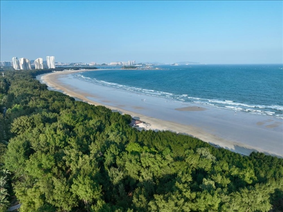 郁郁蔥蔥的東山縣沿海防護(hù)林（無人機(jī)拍攝）。新華社記者 姜克紅 攝