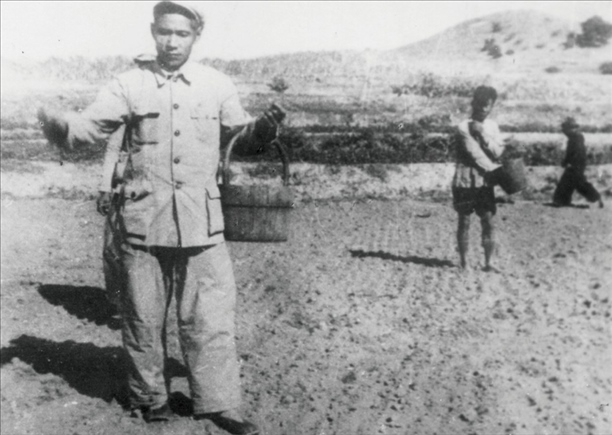 △ 谷文昌在福建省東山縣坑北村參加播種。