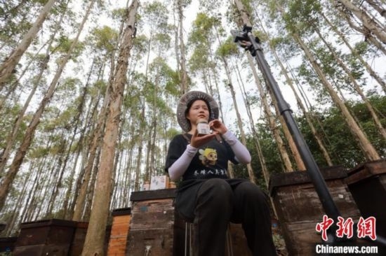 吳素英在網(wǎng)絡平臺直播介紹蜜蜂和養(yǎng)蜂情況。湯曉逵 攝