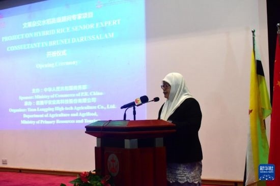 10月26日，文萊初級(jí)資源與旅游部常任秘書(shū)圖蒂亞蒂在斯里巴加灣市出席中國(guó)與文萊雜交水稻高級(jí)專(zhuān)家顧問(wèn)項(xiàng)目啟動(dòng)儀式。新華社記者 李萌 攝
