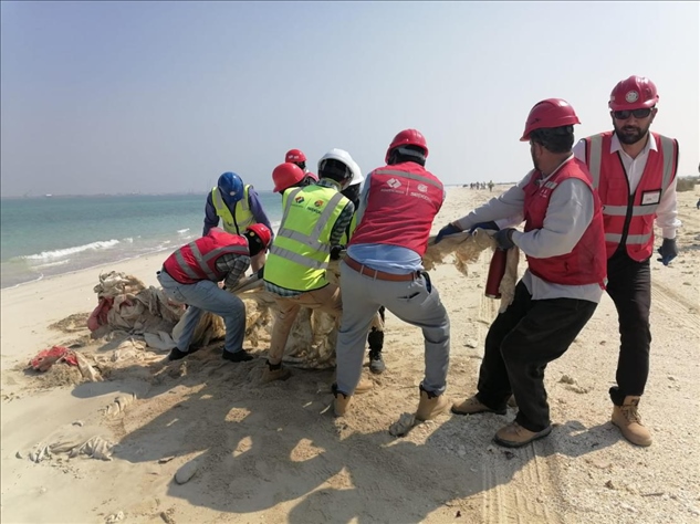 中國(guó)電建員工在撿拾海灘垃圾。中國(guó)電建供圖