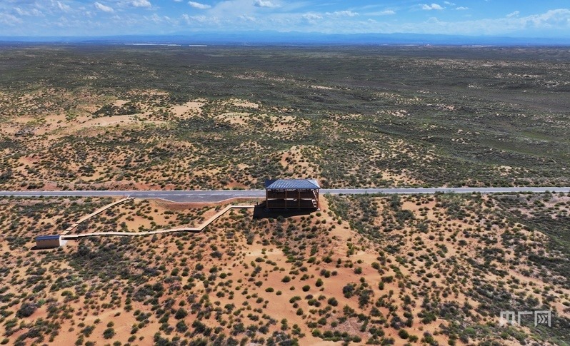 古浪縣一代代人治沙不息，讓綠色向沙漠深處不斷延伸（央廣網(wǎng)記者 李紅軍 攝）