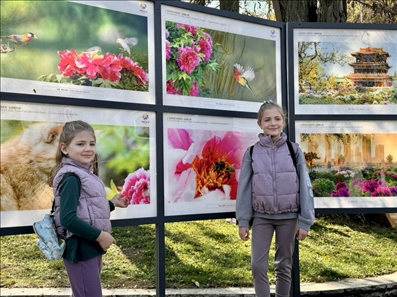 活動現(xiàn)場。中國駐保加利亞大使館供圖。