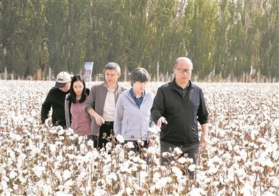 李召虎團隊成員在棉田了解試驗情況。 受訪單位供圖