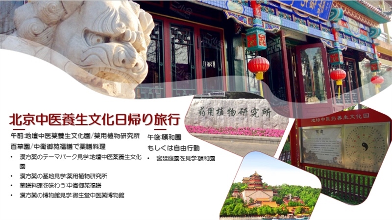 “你好！中國·休閑旅游—中國旅游說明會”宣講材料。中國駐東京旅游辦事處供圖