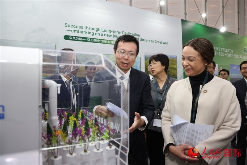 嘉賓參觀中國館。人民網(wǎng)記者任皓宇攝