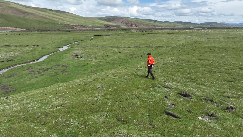 9月24日，生態(tài)管護(hù)員那瓦才郎在草場上巡護(hù)。（受訪者供圖）