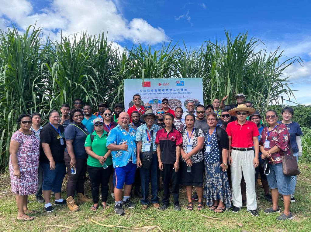 2024年2月28日，來自巴布亞新幾內(nèi)亞、湯加、庫克群島、薩摩亞、瑙魯?shù)葒业摹疤窖髰u國菌草技術(shù)培訓(xùn)班”學(xué)員在斐濟(jì)布拉阿格魯菌草技術(shù)示范基地合影。新華社發(fā)（中國援斐濟(jì)菌草技術(shù)示范中心供圖）