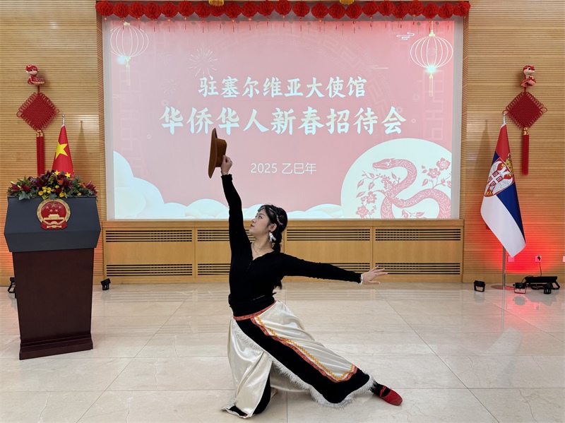 招待會(huì)現(xiàn)場(chǎng)表演。諾維薩德孔子學(xué)院供圖