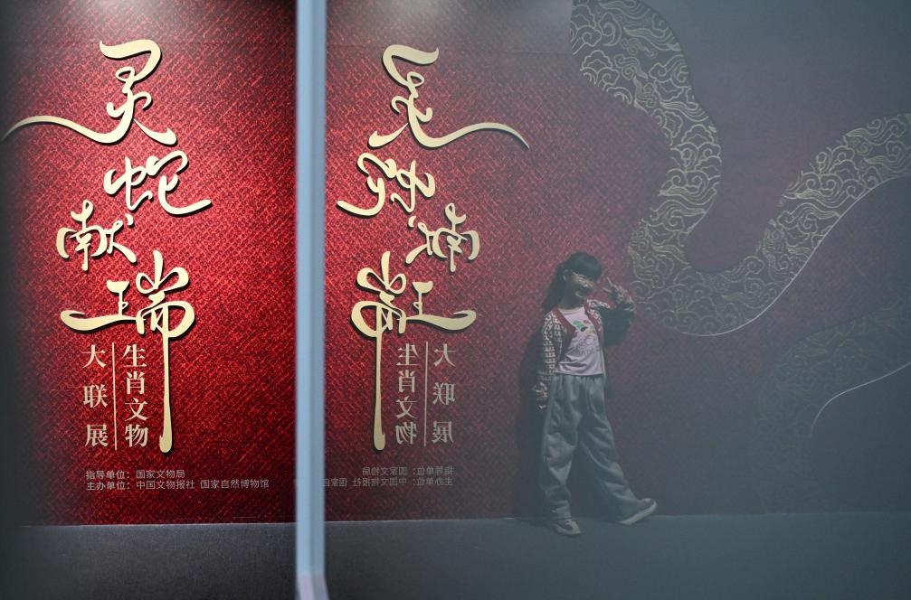 1月18日，一名小朋友在國家自然博物館舉辦的“靈蛇獻(xiàn)瑞——2025乙巳蛇年生肖文物大聯(lián)展”展覽中拍照留念。（新華社記者 陳鐘昊 攝）