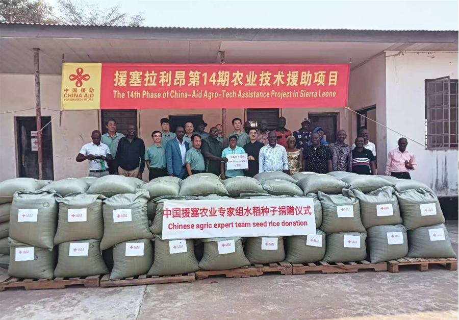 中國(guó)援塞拉利昂農(nóng)業(yè)專家組在塞南方省博城舉辦水稻種子捐贈(zèng)儀式。中國(guó)援塞農(nóng)業(yè)專家組供圖