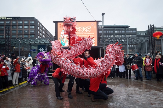 舞龍、舞獅表演。中國駐芬蘭大使館供圖