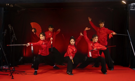 武術表演。中國駐芬蘭大使館供圖