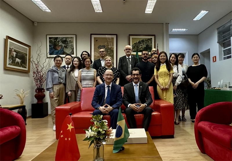 圖為參加座談會(huì)的來賓合影留念。 圣保羅州立大學(xué)孔子學(xué)院供圖