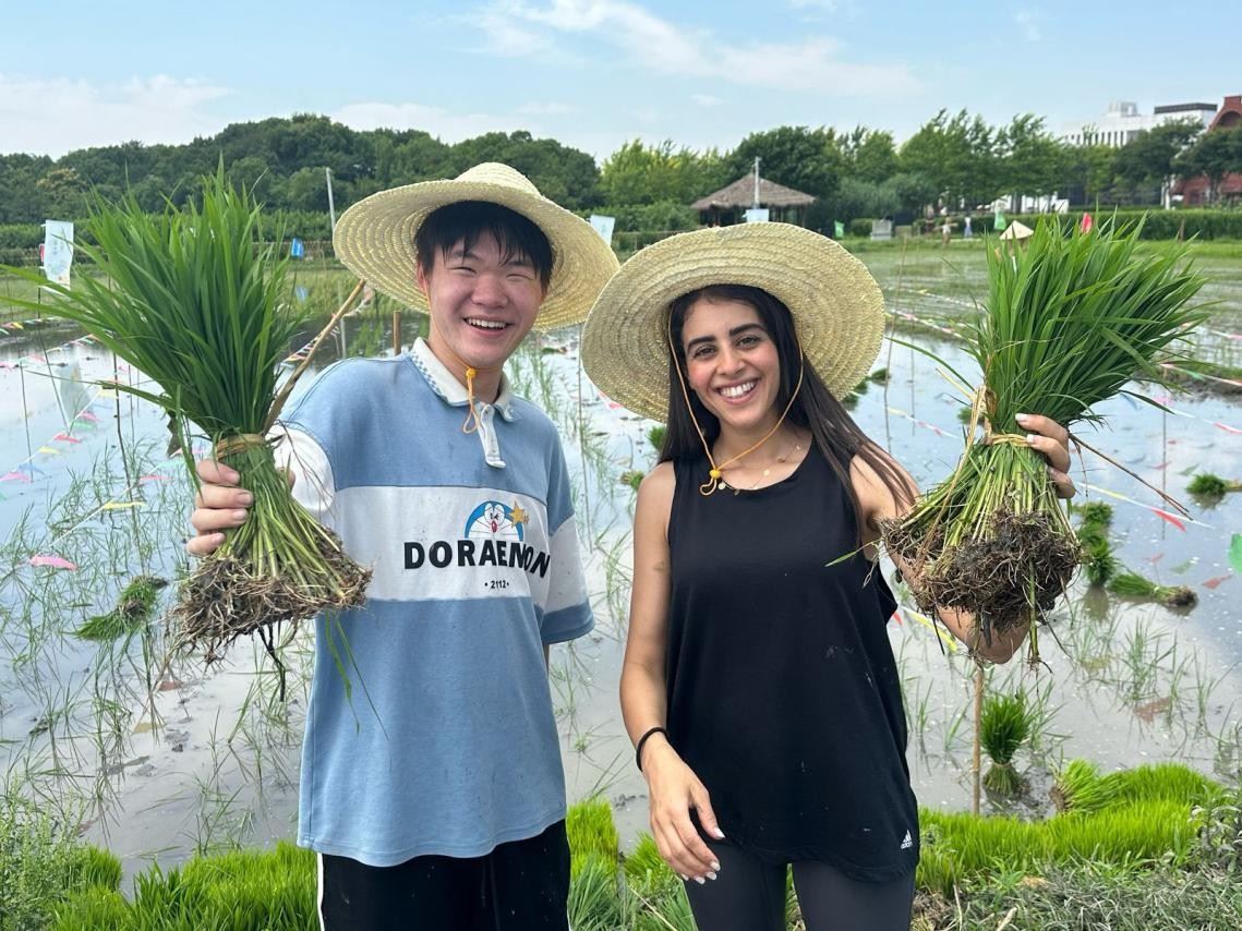 卡友琪在插秧。受訪者供圖