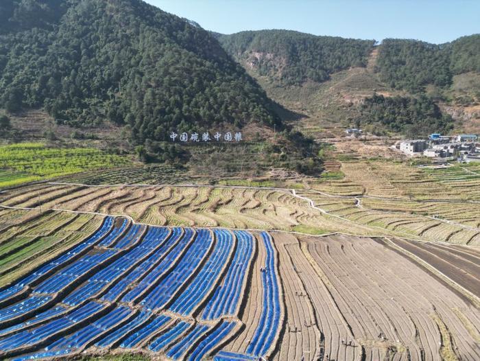 △近日，四川涼山一現(xiàn)代農(nóng)業(yè)園春耕育秧搶農(nóng)時。