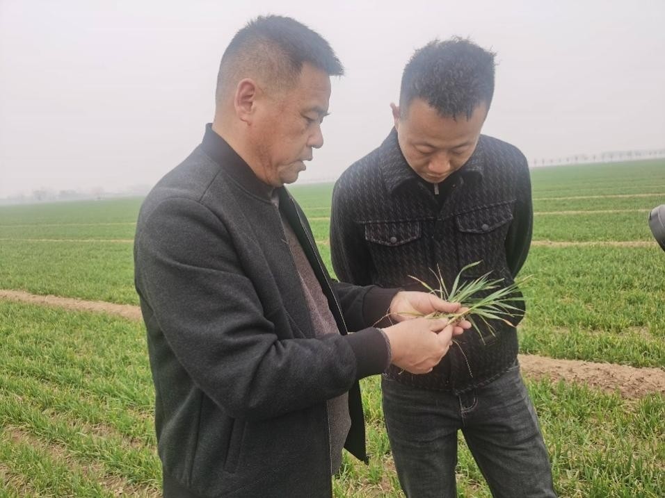 在山東濟(jì)寧汶上縣苑莊鎮(zhèn)，農(nóng)技員黃海龍對(duì)種糧大戶王振現(xiàn)場(chǎng)進(jìn)行春耕指導(dǎo)。人民網(wǎng)記者 車柯蒙攝