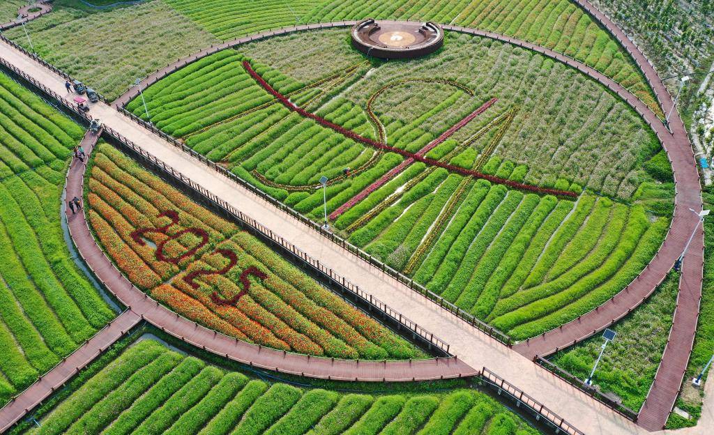 這是3月21日拍攝的瓊海博鰲南強(qiáng)村景色（無(wú)人機(jī)照片）。新華社記者 郭程 攝