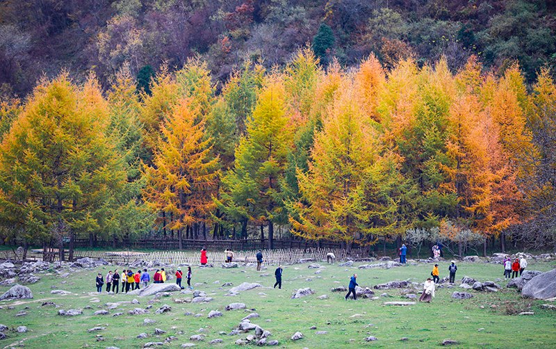2023年10月27日，深秋時(shí)節(jié)的陜西秦嶺太子嶺五彩斑斕，進(jìn)入最佳觀賞期。