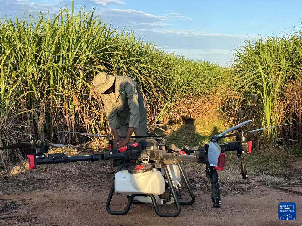 3月25日，在南非夸祖魯-納塔爾省的方廷希爾莊園，工作人員為無人機做起飛作業(yè)前的準(zhǔn)備。新華社記者 白舸 攝