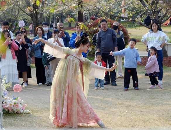 清明假期期間，上海顧村公園櫻花島上，游客在觀賞國風(fēng)漢服快閃表演。（圖片來源：視覺中國）