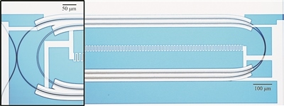 微波光量子傳感器的光學顯微照片。圖片來源：美國哈佛大學