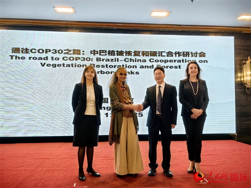中國國家林業(yè)和草原局副局長李云卿（右二）、巴西環(huán)境和氣候變化部部長瑪麗娜·席爾瓦（左二）、巴西財政部副部長羅熙丹（右一）、巴西駐華大使館公參樂美（左一）出席“通往COP30之路：中巴植樹造林和碳匯合作研討活動”。人民網(wǎng)記者 符園園攝