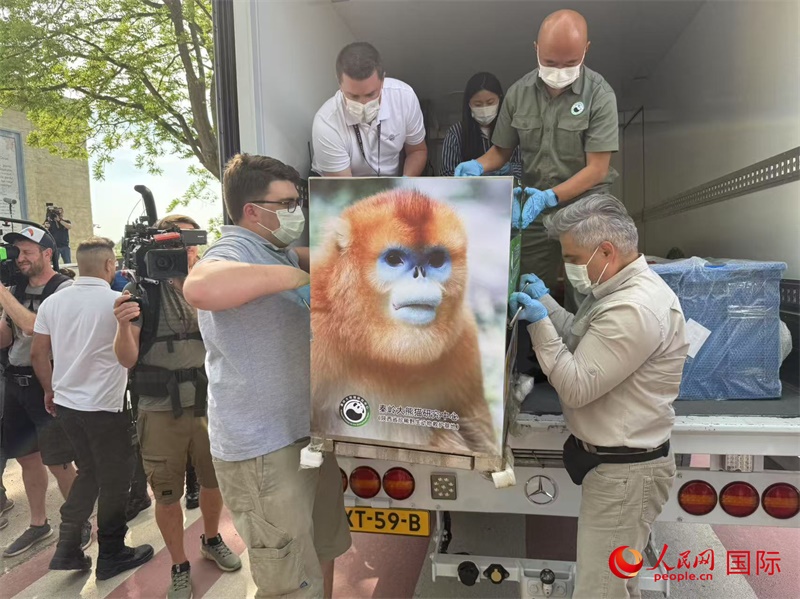 圖為活動(dòng)現(xiàn)場(chǎng)。人民網(wǎng)記者 牛瑞飛攝