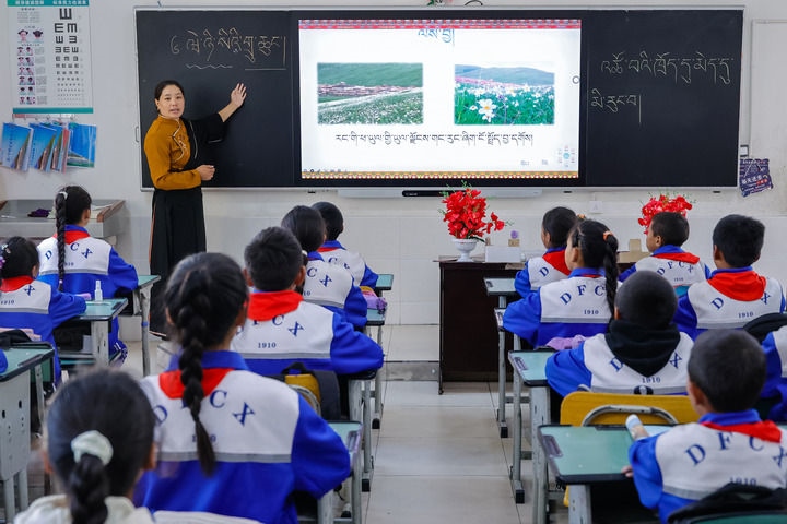 2024年9月27日，在四川省甘孜藏族自治州道孚縣城關(guān)第一完全小學(xué)，采取“藏加模式”教學(xué)的五年級(jí)一班的藏語(yǔ)文課上，準(zhǔn)木周老師指導(dǎo)藏族學(xué)生以家鄉(xiāng)草原風(fēng)物為主題寫作藏語(yǔ)文作文。新華社記者 沈伯韓 攝