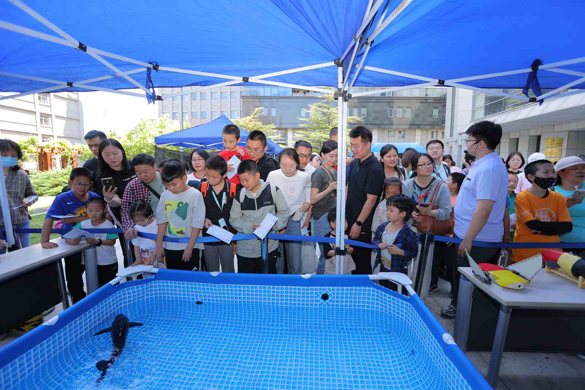 水下仿生機(jī)器魚在活動現(xiàn)場大受歡迎。中國科學(xué)院自動化研究所供圖